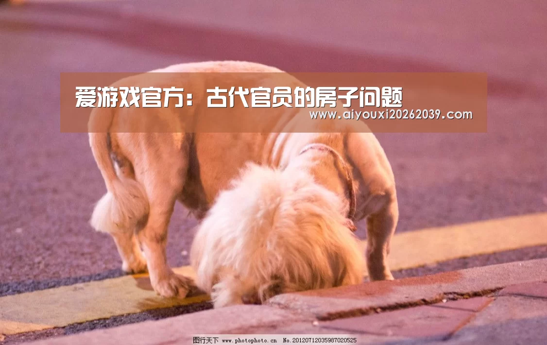 爱游戏官方