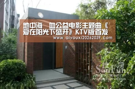 爱游戏电竞