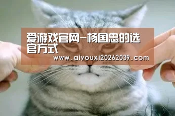 爱游戏APP
