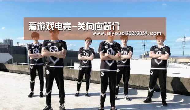爱游戏APP