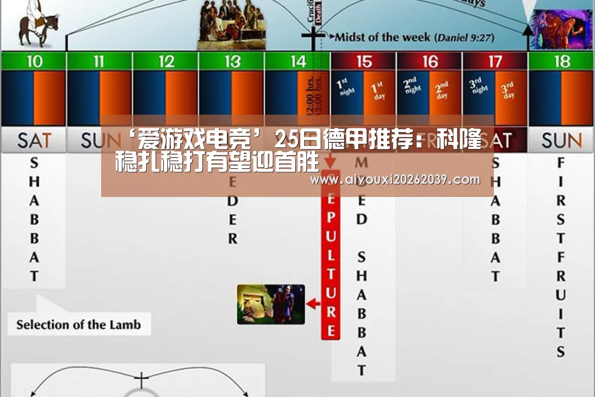 爱游戏电竞