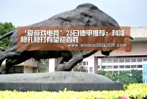 爱游戏APP